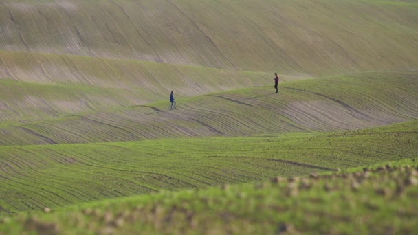 Een jonge man die de ukelele speelt loopt over een heuvelachtig veld om een jonge vrouw te ontmoeten.. — Stockvideo