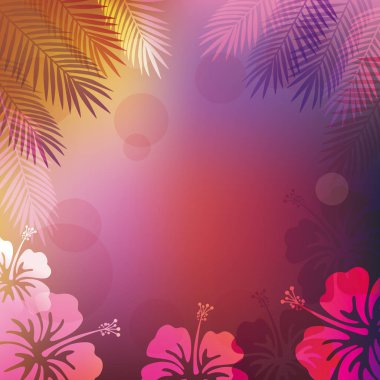 Palmiye yaprakları ve ebegümeci vektör arka plan