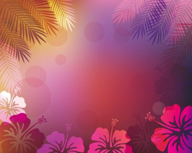 Palmiye yaprakları ve ebegümeci vektör arka plan