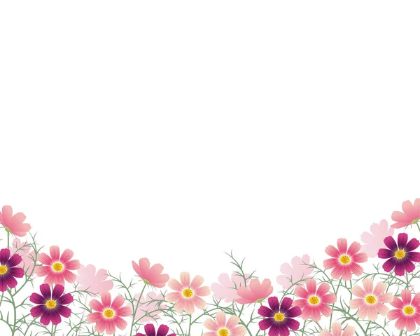 Fond Automne Avec Des Fleurs Cosmos — Image vectorielle