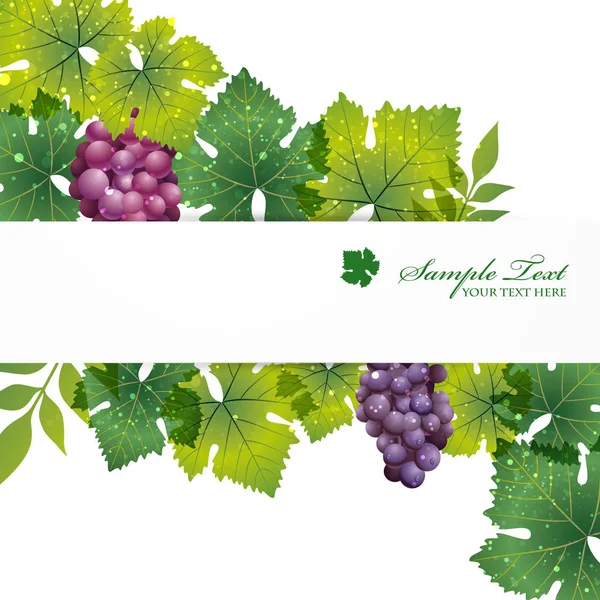 Vector Background Grape — Stock Vector
