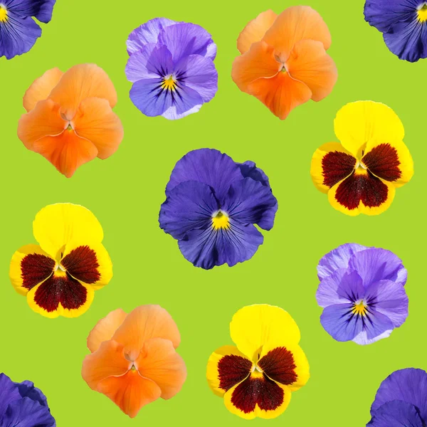 Zelená Bezešvé Vzor Žluté Modré Fialové Oranžové Pansy — Stock fotografie