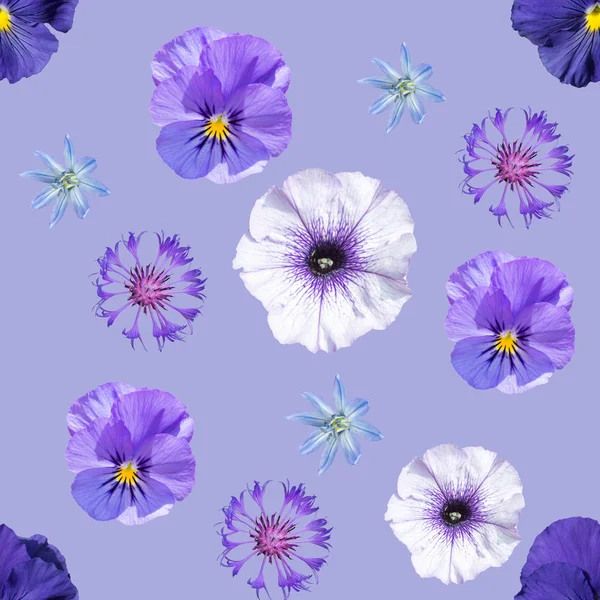 Padrão Sem Costura Com Flores Azuis Violetas Fundo Azul — Fotografia de Stock