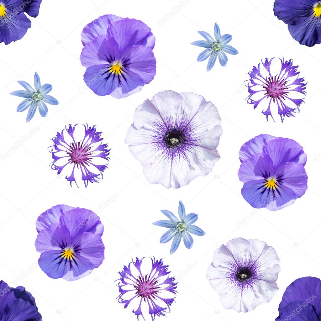 Seamless pattern with blue and violet flowers on white background