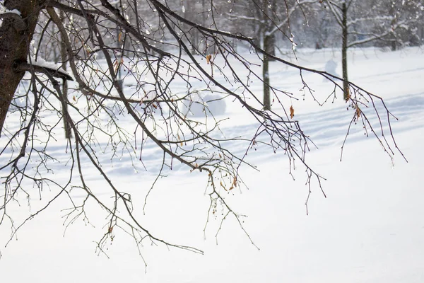 Paisagem Inverno Floresta Tudo Coberto Neve Gelo Árvores Geladas Estrada — Fotografia de Stock