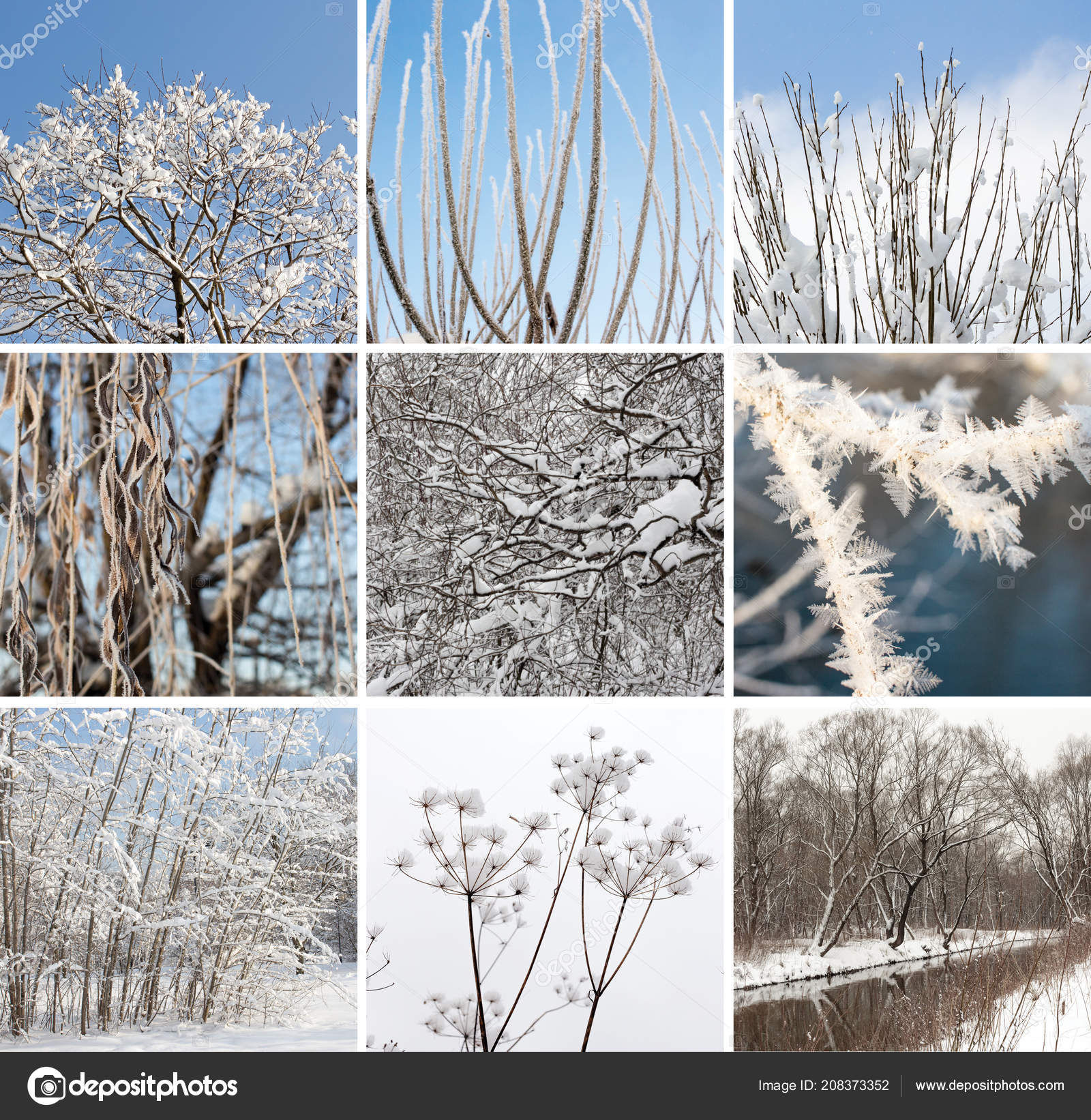 自然の雪の風景から正方形の冬のコラージュ ストック写真 C Wasnoch