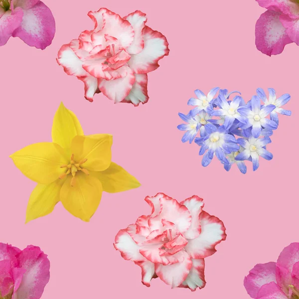 Spring Flowers Seamless Background Pattern — Stock Photo, Image