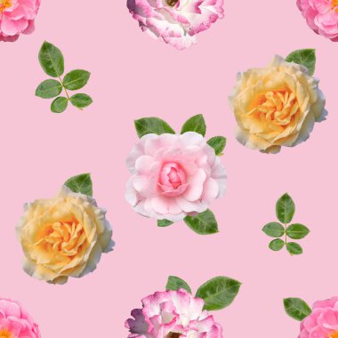 Pembe backgr üzerinde gül farklı çiçeklerile Dikişsiz desen