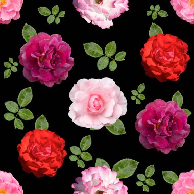 Siyah backgr üzerinde gül farklı çiçekleri ile Dikişsiz desen