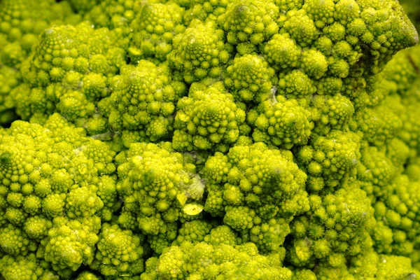 Nahaufnahme Von Romanesco Kohl Hintergrund — Stockfoto