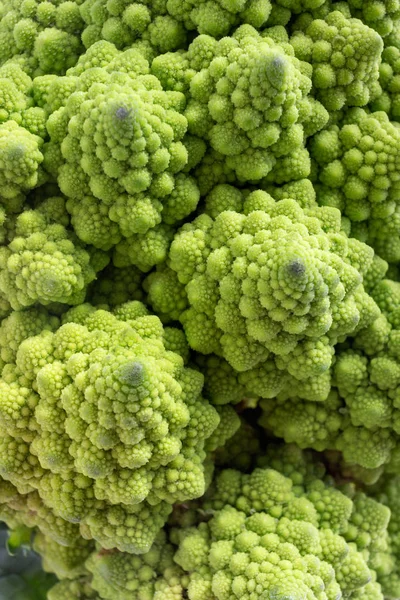 Närbild Romanesco Kål Bakgrund — Stockfoto