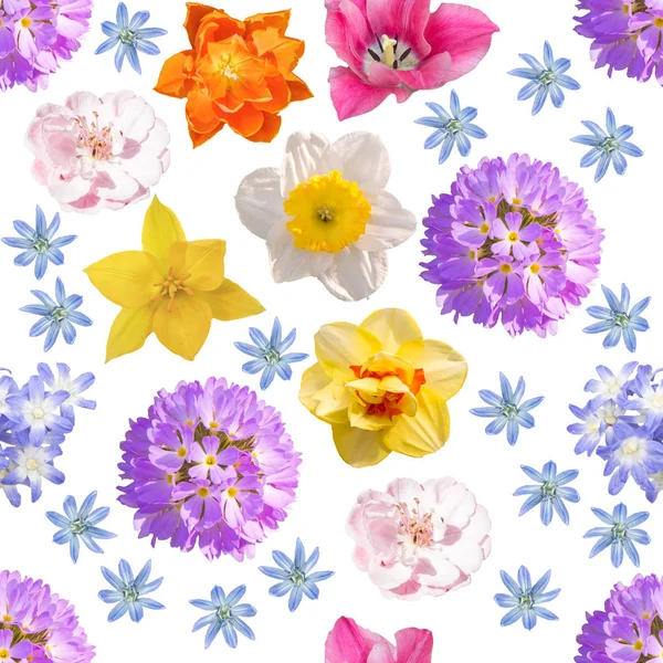 Flores Primavera Patrón Sin Costura Sobre Fondo Blanco — Foto de Stock