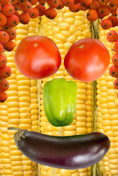 Face of vegetables. Concept. — Stock Photo, Image