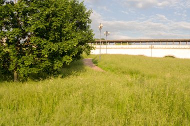 Parktaki çimler. Şehirde yaz mevsimi. Rusya, Moskova.