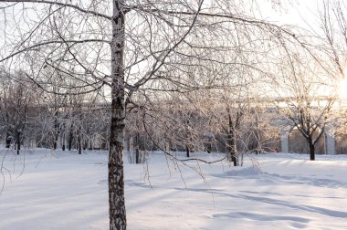Moskova, Rusya, 06.02.2018: Rostokinskiy su kemeri. Soğuk kış sabahı.
