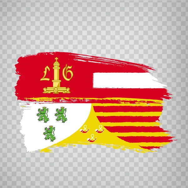 Flaga Pociągnięć Pędzla Liege Flaga Prowincji Liege Przejrzystym Tle Projektowania — Wektor stockowy