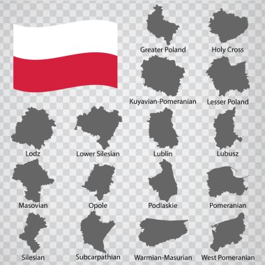 Polonya 'nın 16 Harita Bölgesi. İsimli alfabetik sıra. Eyaletin her bir haritası kelime ve başlıklarla listelenmiş ve izole edilmiştir. Polonya Cumhuriyeti. EPS 10.