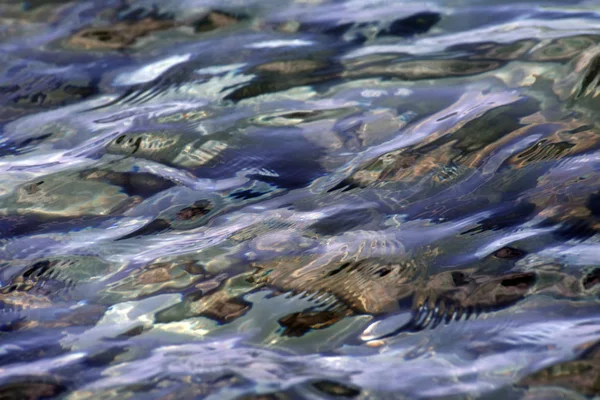 Abstract Zee Achtergrond Door Heldere Water Zichtbare Stenen Bodem — Stockfoto