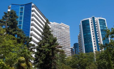 Soçi 'deki Karadeniz kıyısındaki yeni binaların çeyreği.