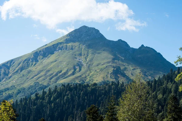 Prachtige Grote Berg Krasnaya Polyana — Stockfoto