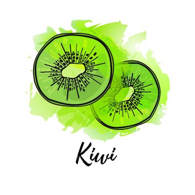Kivi meyvesinin çizimi. Vektör suluboya arka plan. Kokteyller için grafikler, taze meyve suyu tasarımı. Doğal organik gıda etiketi.