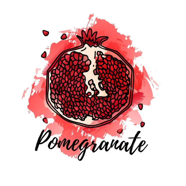 Illustration von Granatapfelfrüchten. Vector Aquarell Splash Hintergrund. Grafiken für Cocktails, Frischsaftdesign. Natürliche Bio-Lebensmittel. — Stockvektor