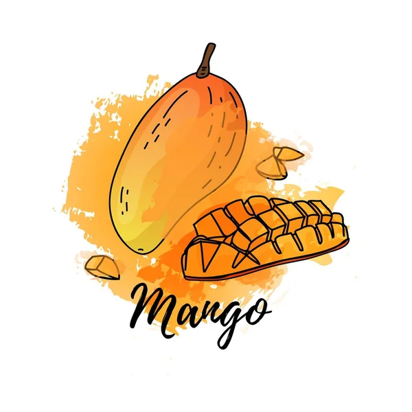 Ilustração de frutos de manga tropicais. Vetor fundo aquarela. Gráficos para coquetéis, design de suco fresco. Rótulo alimentar biológico natural. — Vetor de Stock