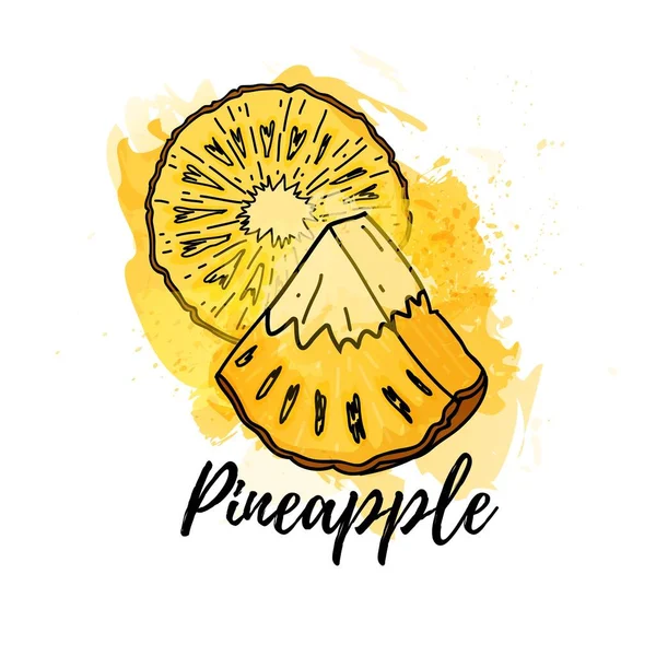 Illustration de l'ananas tropical. Fond vectoriel aquarelle. Graphismes pour cocktails, jus de fruits frais. Étiquette d'aliment biologique naturel. — Image vectorielle