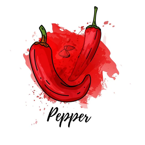 Illustration von Red Papper. Vector Aquarell Splash Hintergrund. Grafiken für Cocktails, frisches Gewürzdesign. Natürliches Bio-Chili-Label. — Stockvektor