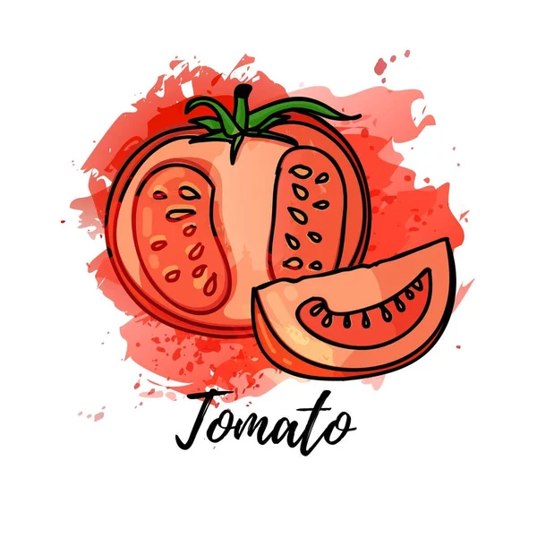 Ilustrace rajčat. Vektorové akvarel splash pozadí. Grafika na koktejly, design čerstvé šťávy. Přírodní štítek organické zeleniny. — Stockový vektor