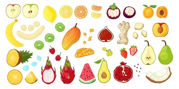 Set grande con frutas tropicales, bayas y raíces. Alimento fresco natural crudo para la nutrición vegetariana. Ilustración para batido fresco o volante dietético. Vector. — Vector de stock