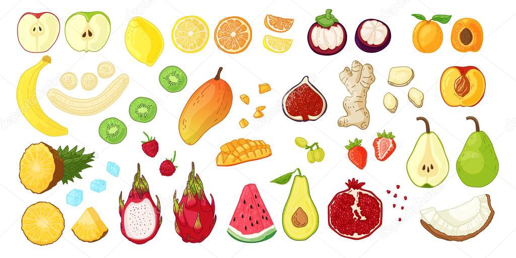Big set with tropical fruit, berries and roots. Natural raw fresh food for vegetarian nutrition. Illustration for fresh smoothie or diet flyer. Vector