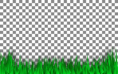 Saydam arka planda yeşil çim şablonu. Vektör tasarımı.