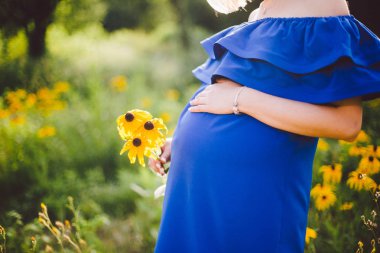 Hamile kadın mavi elbiseli sarı çiçekleri yeşil çayır arka planda yaz aylarında güneşli havalarda tutuyor