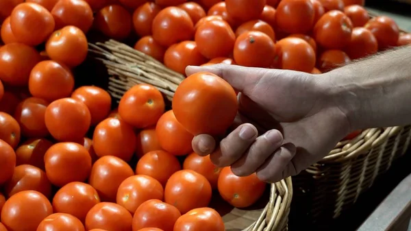 Tema hälsa och naturlig mat. Närbild av en kaukasiska man holding, plocka tomater i en vtrine i en stormarknad box hand. Vegetarisk kille köper röda grönsaker — Stockfoto