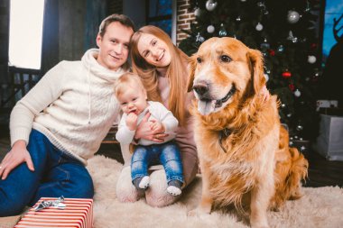 Tema Noel ve yeni yıl aile çevresi ve yerel evde beslenen hayvan. Köpek Noel ağacı hediyeler ve büyük yakın katta oturan anne baba ve çocuk 1 yaşında beyaz bir kadın doğurmak golden labrador geri almak.