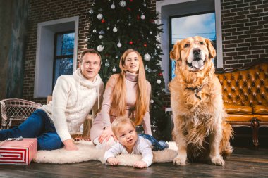 Tema Noel ve yeni yıl aile çevresi ve yerel evde beslenen hayvan. Köpek Noel ağacı hediyeler ve büyük yakın katta oturan anne baba ve çocuk 1 yaşında beyaz bir kadın doğurmak golden labrador geri almak.