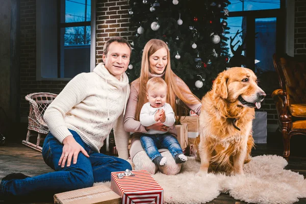 Tema Navidad Año Nuevo Círculo Familiar Mascota Doméstica Mamá Papá — Foto de Stock