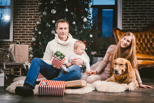 Téma Karácsonyi Újévi Családi Körben Belföldi Kisállat Anya Apa Gyermek — Stock Fotó