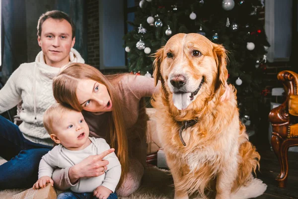 Tema Navidad Año Nuevo Círculo Familiar Mascota Doméstica Mamá Papá — Foto de Stock