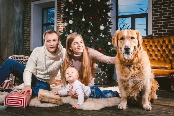 Téma Karácsonyi Újévi Családi Körben Belföldi Kisállat Anya Apa Gyermek — Stock Fotó