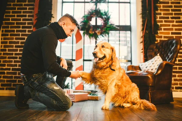 Dostluk Insan Köpek Evde Beslenen Hayvan Golden Retriever Labrador Tüylü — Stok fotoğraf