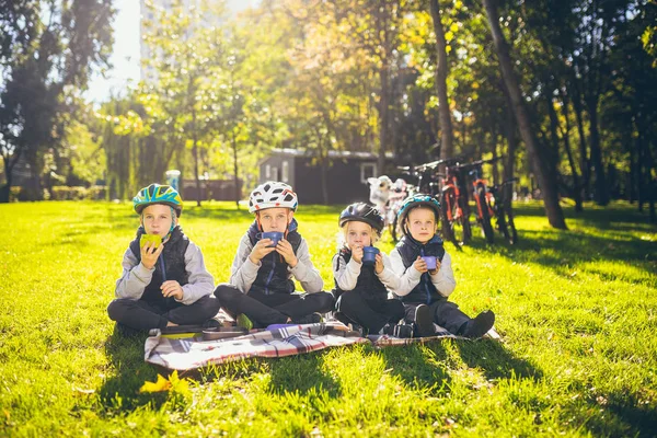 テーマ活動的な家族の休日の性質 小さな子供たち3人の兄弟姉妹は公園の緑の芝生の残りの部分で自転車の近くに毛布に座ってカップと魔法瓶茶から飲む — ストック写真