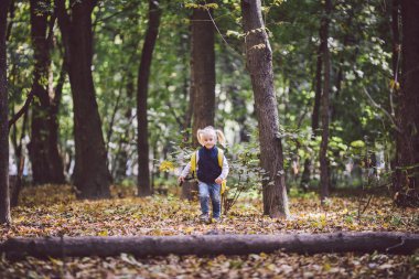 Açık hava etkinlikleri Tema çocuk. Komik küçük bebek beyaz sarışın kız üstesinden engeller, ağaç düştü, günlük orman yürür. Bebek büyük komik sırt çantası sonbahar orman park hiking