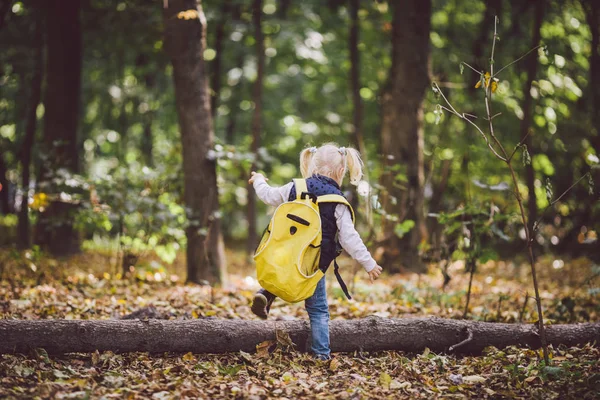 Açık hava etkinlikleri Tema çocuk. Komik küçük bebek beyaz sarışın kız üstesinden engeller, ağaç düştü, günlük orman yürür. Bebek büyük komik sırt çantası sonbahar orman park hiking.