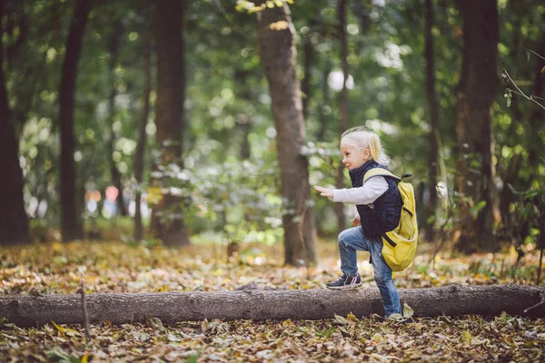 Açık hava etkinlikleri Tema çocuk. Komik küçük bebek beyaz sarışın kız üstesinden engeller, ağaç düştü, günlük orman yürür. Bebek büyük komik sırt çantası sonbahar orman park hiking.