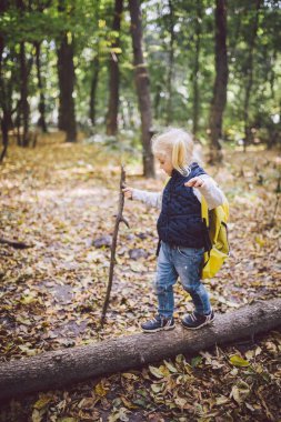 Tema açık hava etkinlikleri doğada. Komik küçük beyaz sarışın kızı ormanın içinde büyük bir sırt çantası ile engebeli arazide hiking yürür yürür. Baston kullanır