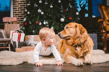 Arkadaşlık adam çocuk ve köpek evde beslenen hayvan. Tema Noel yeni yıl kış tatili. Bebek Çocuk yerde dekore edilmiş ağaç ve en iyi arkadaş köpek ırkı Golden Labrador Retriever.