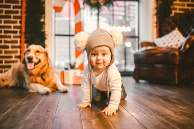 Arkadaşlık adam çocuk ve köpek evde beslenen hayvan. Tema Noel yeni yıl kış tatili. Bebek Çocuk kaynıyor yürüyüş ahşap zemin dekore edilmiş iç evi ve en iyi arkadaş köpek ırkı golden Labrador geri almak öğrenir.