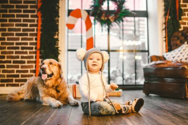 Arkadaşlık adam çocuk ve köpek evde beslenen hayvan. Tema Noel yeni yıl kış tatili. Bebek Çocuk kaynıyor yürüyüş ahşap zemin dekore edilmiş iç evi ve en iyi arkadaş köpek ırkı golden Labrador geri almak öğrenir.